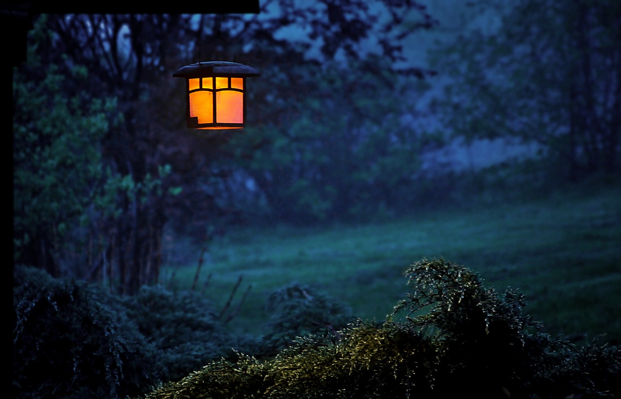 Image - twilight replacement lamp lantern