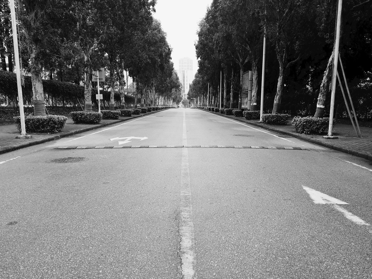 Image - symmetry road in depth