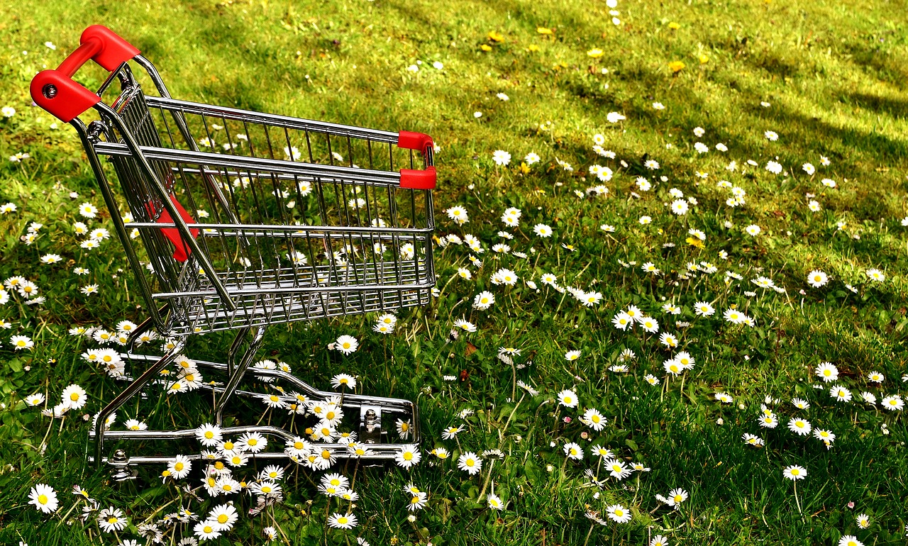 Image - shopping shopping cart sale meadow