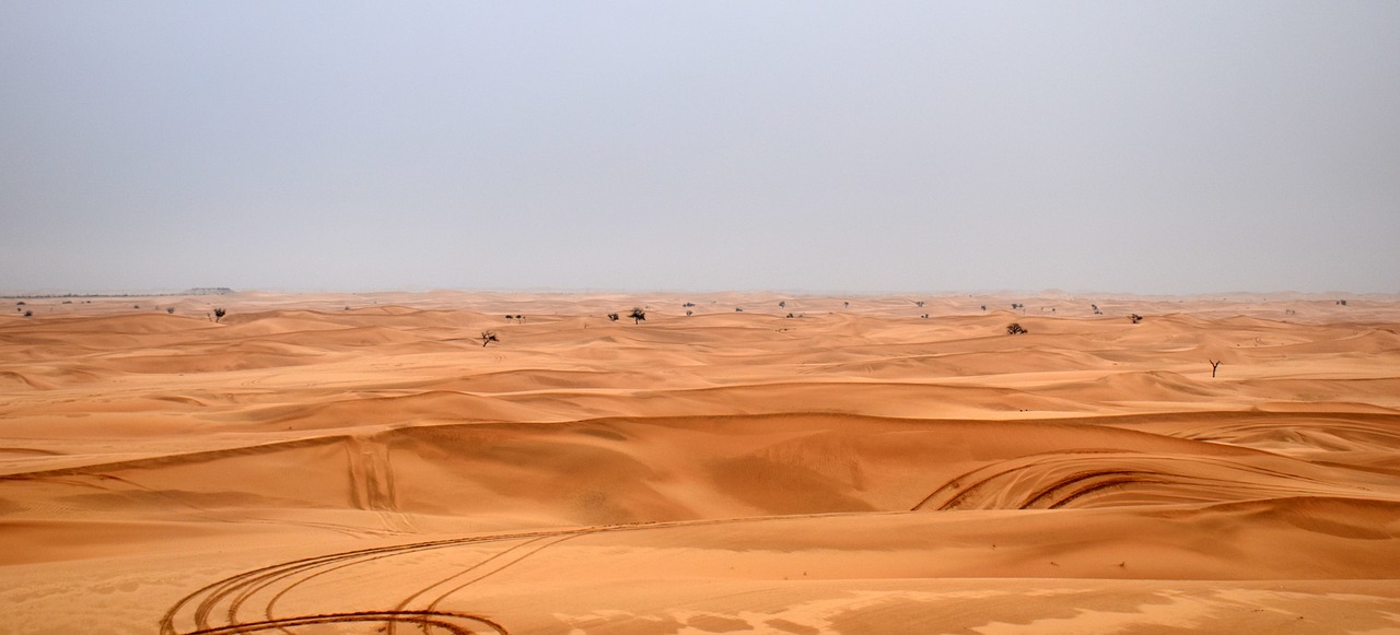 Image - dune safari path abhu dhabi nature