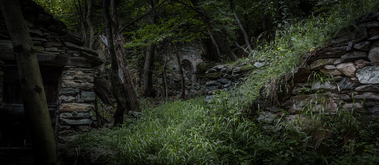 Image - jungle ruin ruins forest nature