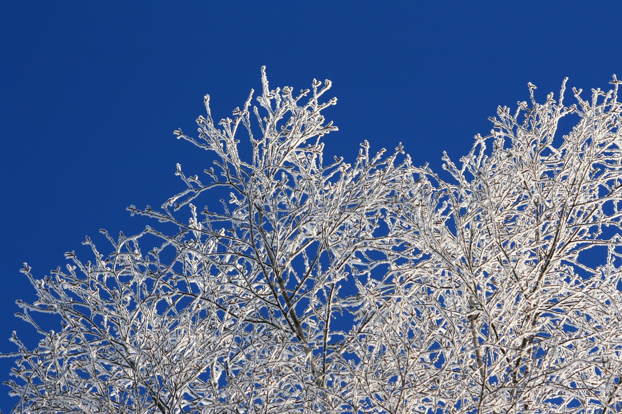 Image - sky blue blue sky nice weather