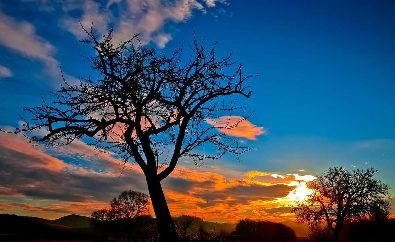 Image - sunset evening sky afterglow clouds