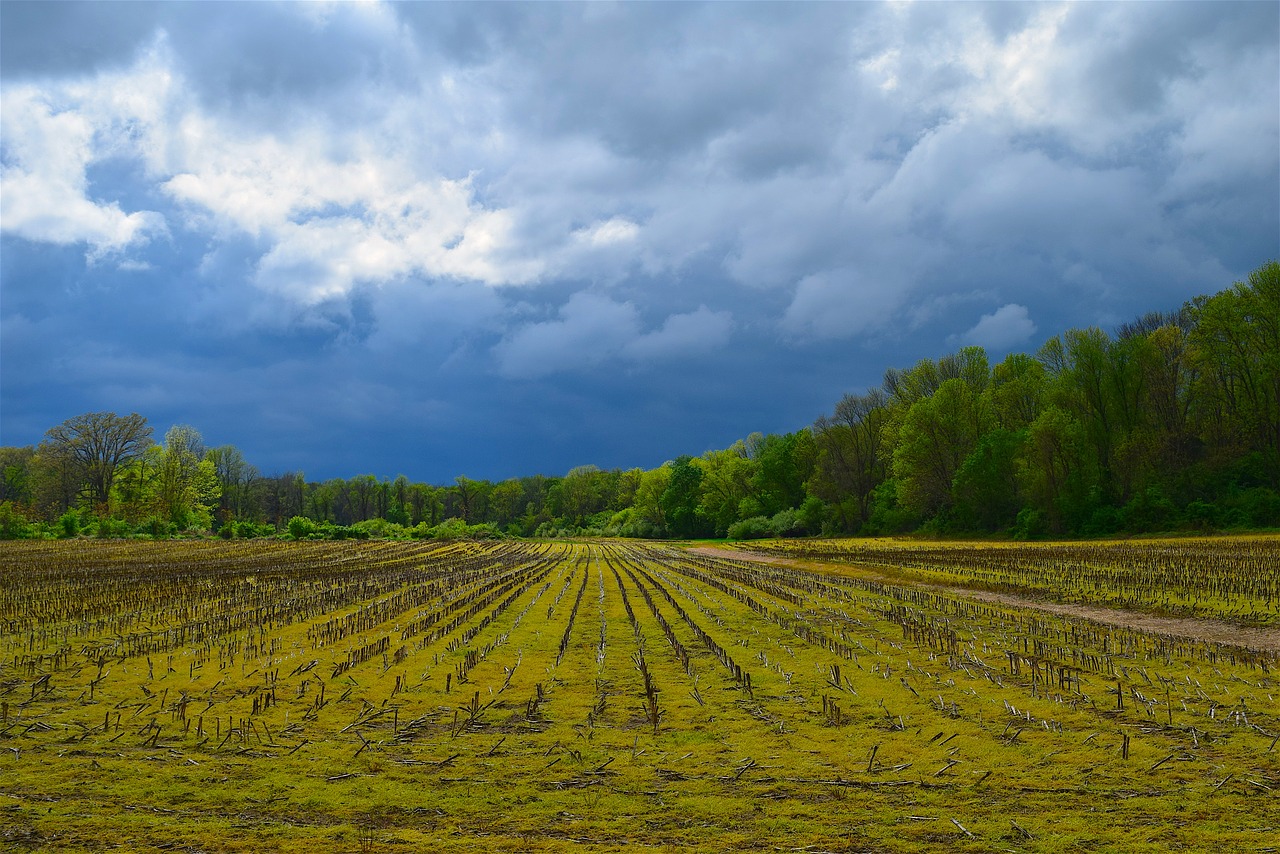 Image - farm clouds nature field landscape