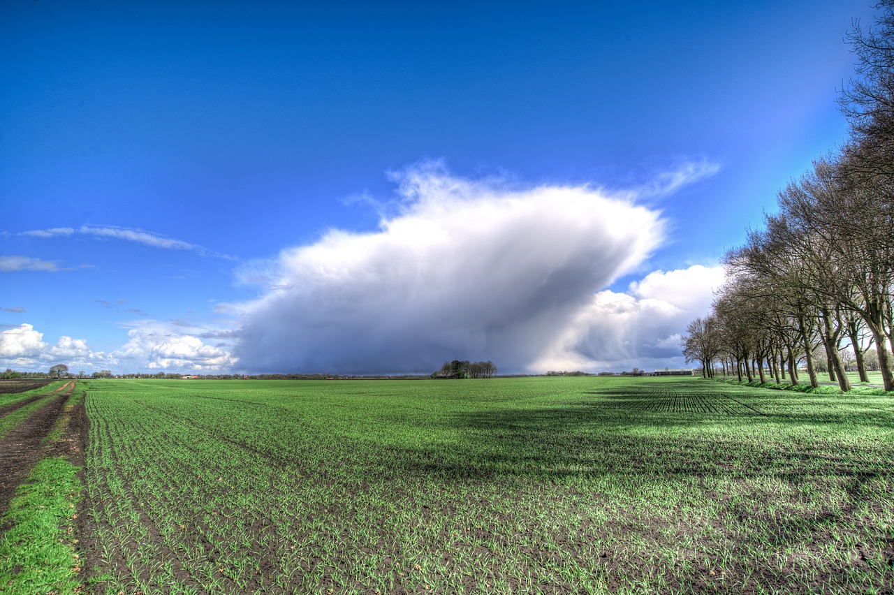 Image - cloud sky meadows cumulus
