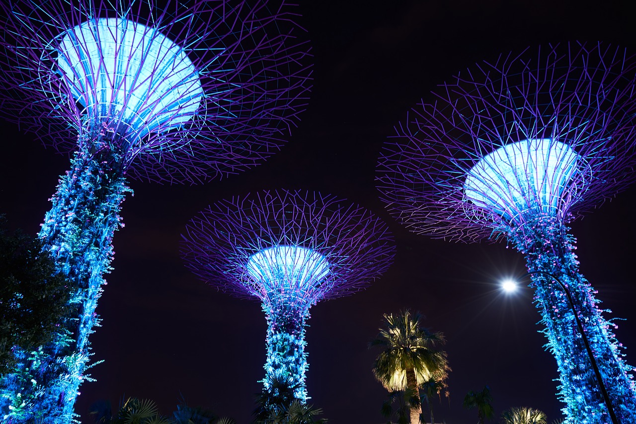 Image - botanical park night lights asian