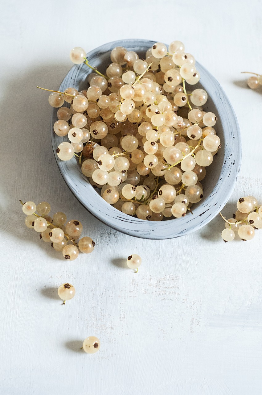 Image - white currants currant fruit