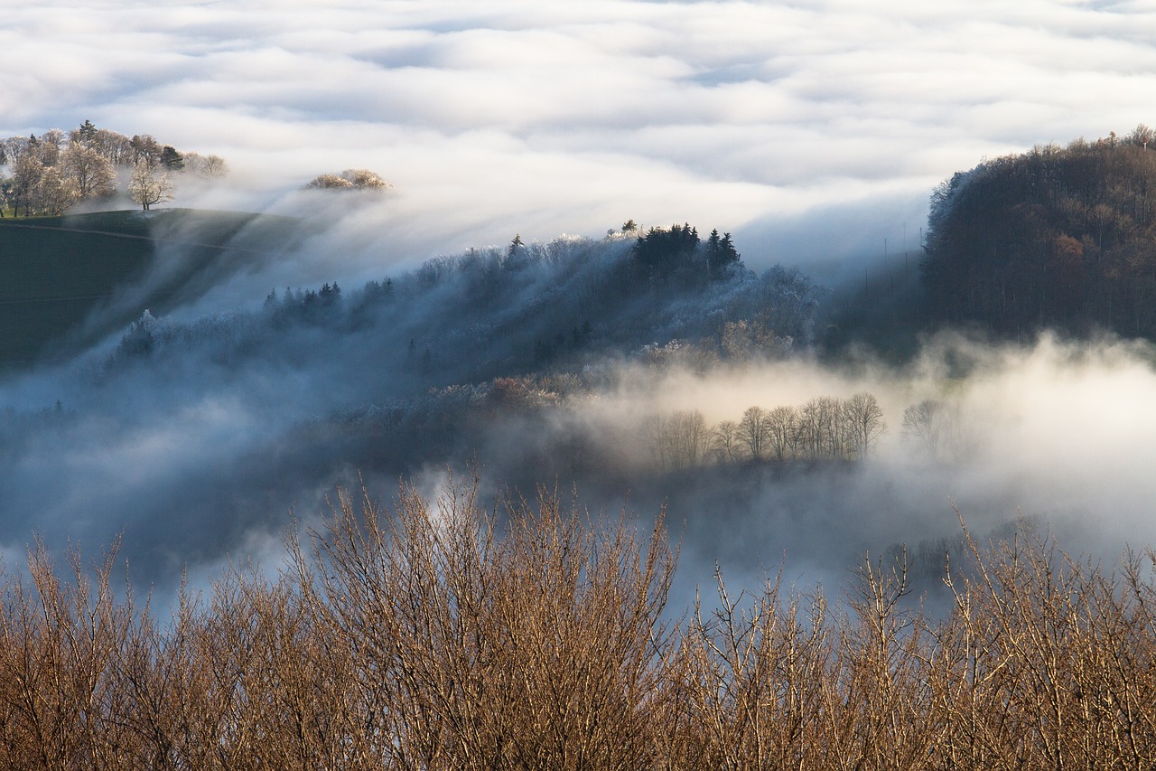 Image - fog mist sea of fog mood