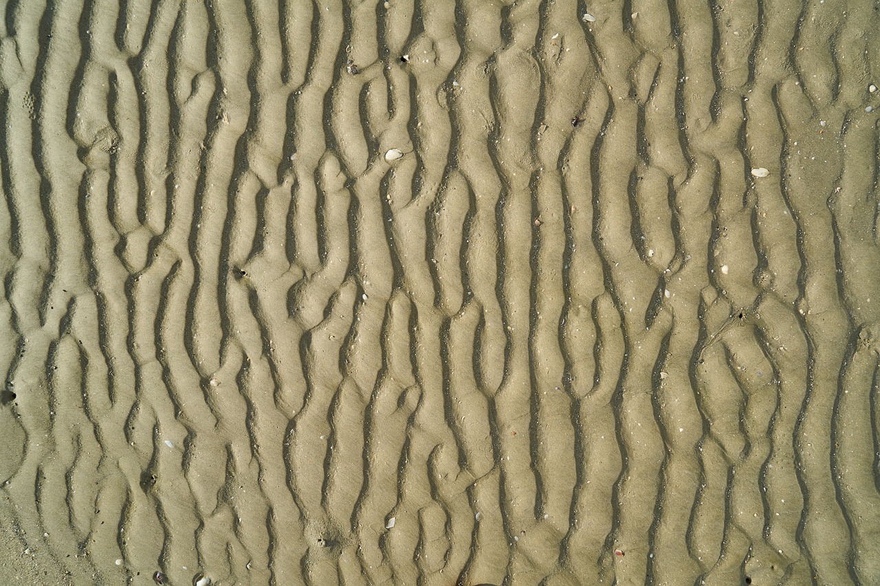 Image - sand beach texture nature sunset