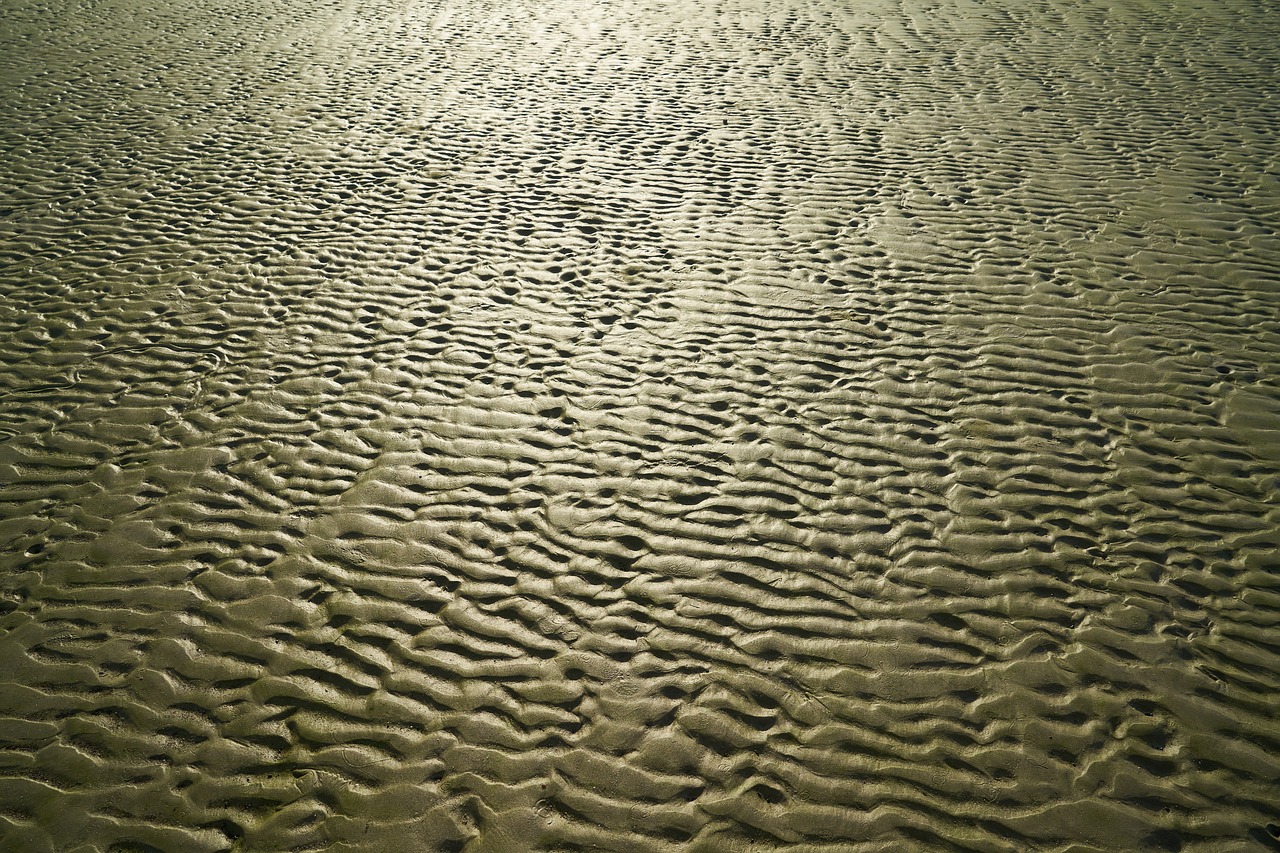 Image - beach terry solar reflection