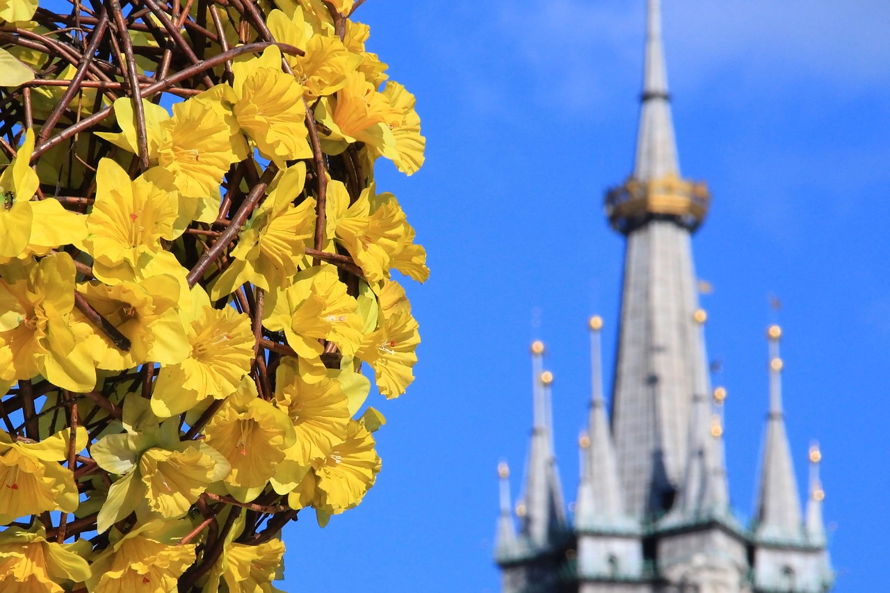Image - kraków spring poland flowers