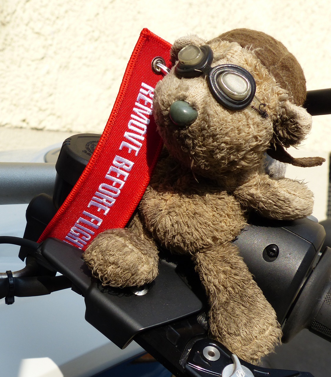 Image - bear motorcycle glasses