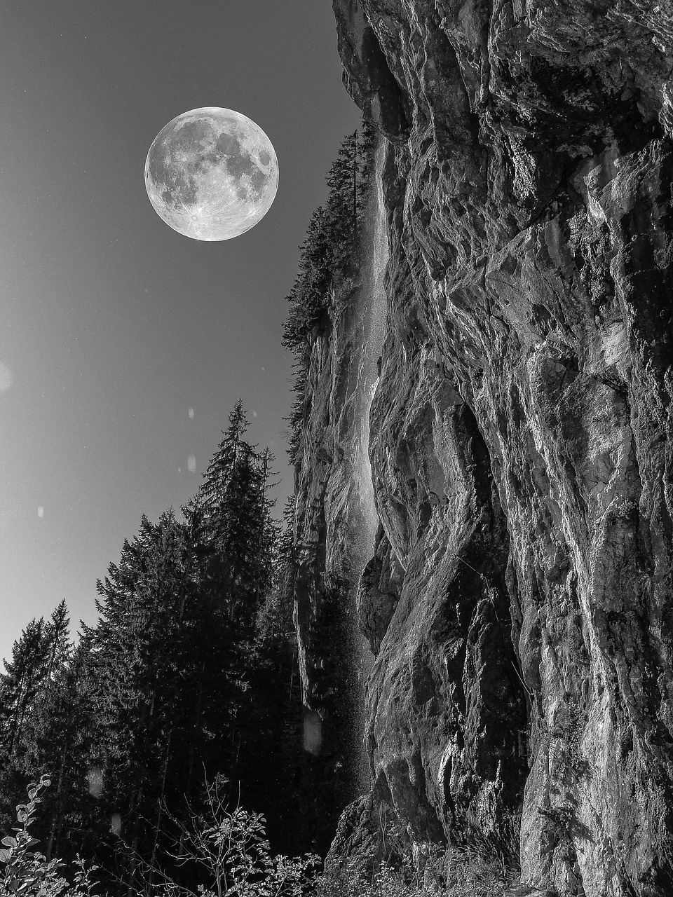 Image - full moon night rock forest alpine