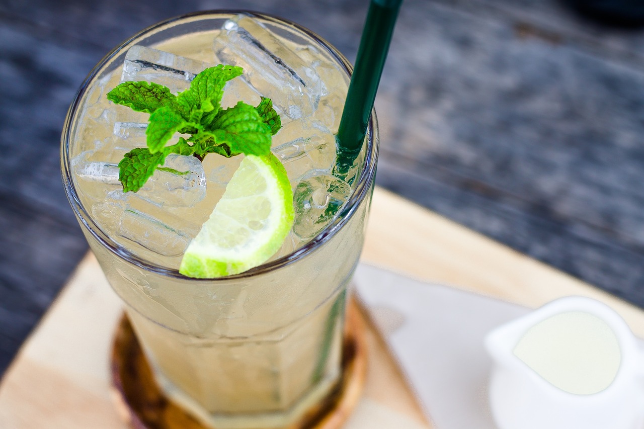 Image - beverage lemon mint leaves ice