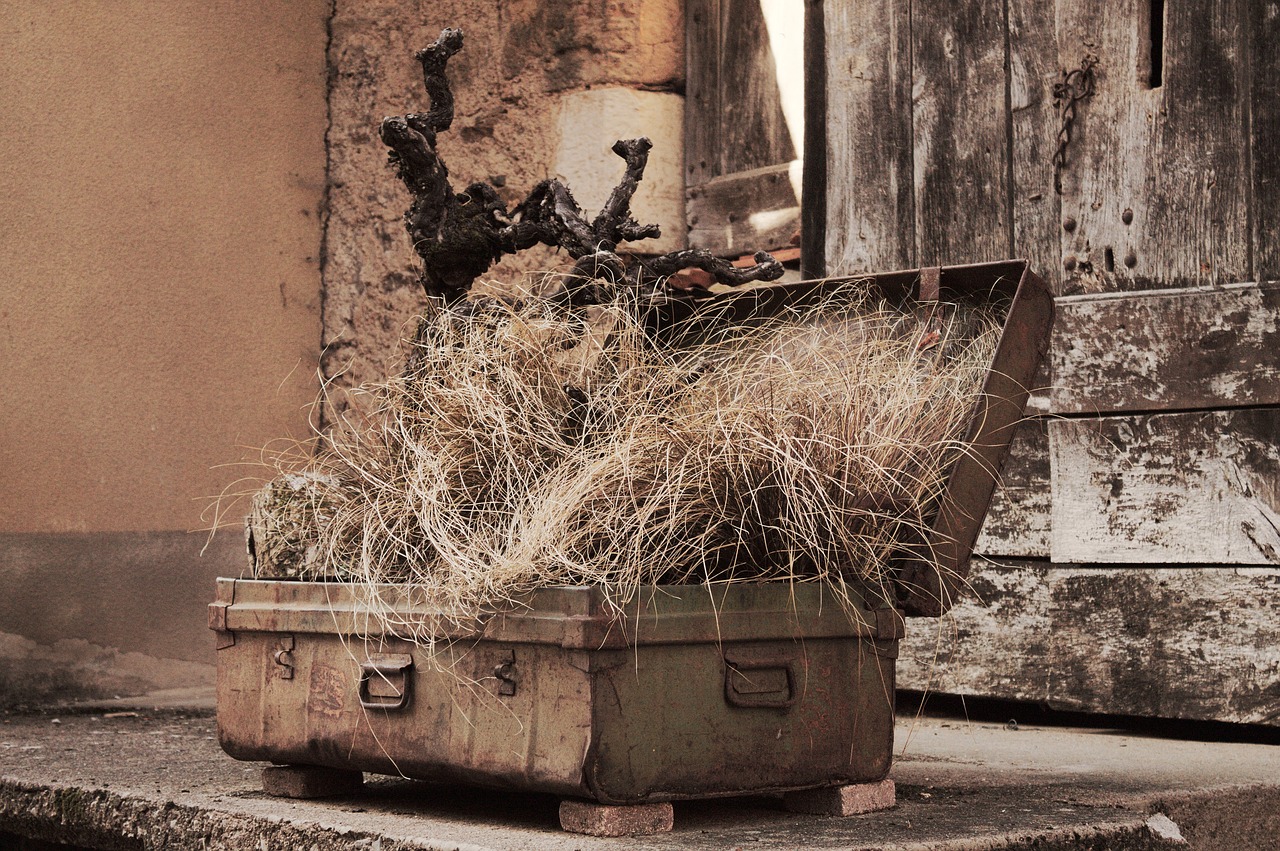 Image - suitcase travel old herbs cep