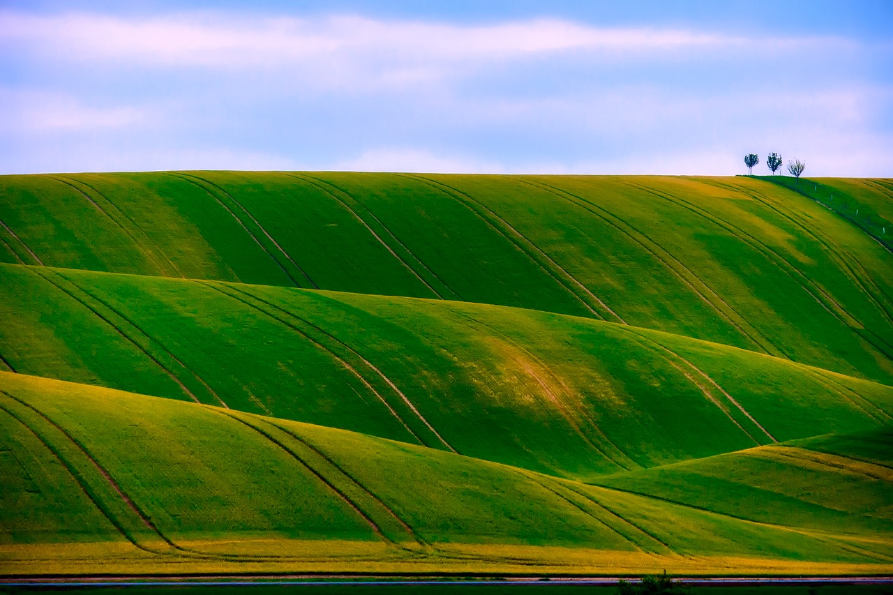 Image - czech republic landscape field