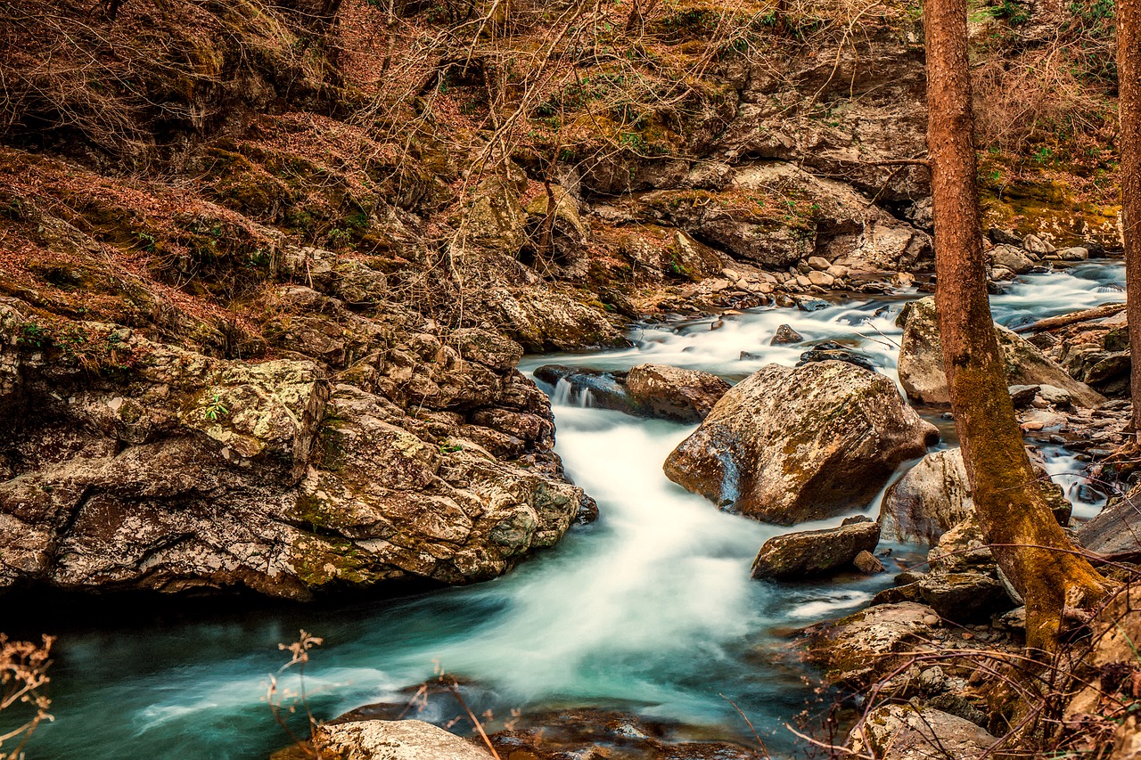 Image - stream creek brook water rocks