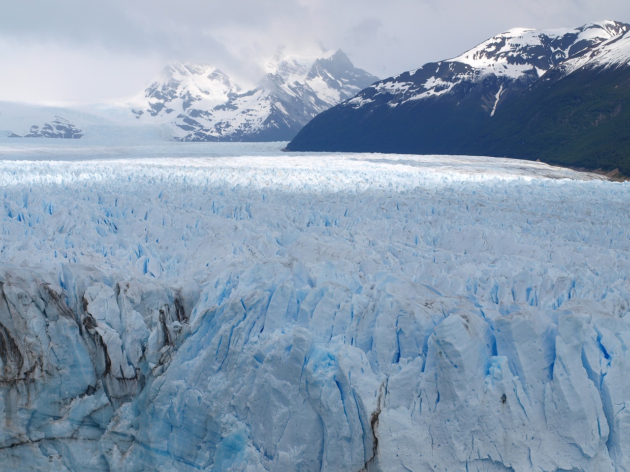 Image - calafate argentina perito moreno