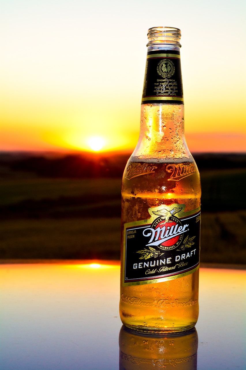 Image - beer sunset sol horizon nature