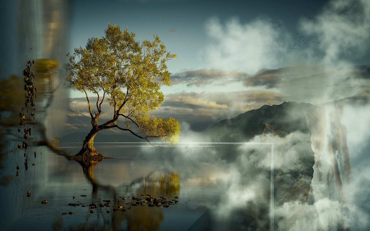 Image - beautiful lone tree tree scenic