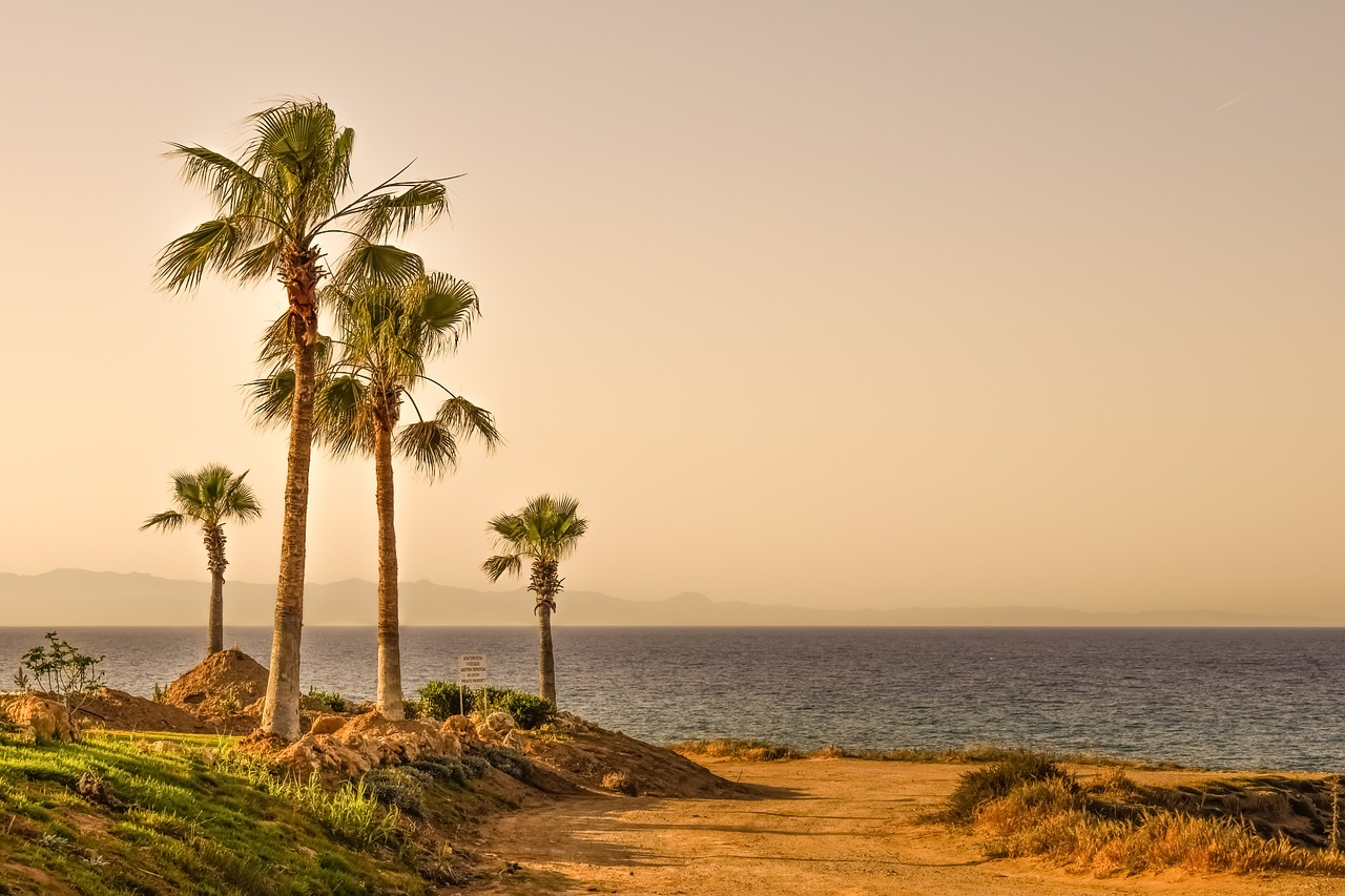 Image - palm trees sea horizon landscape