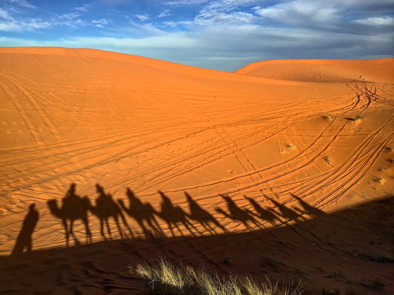 Image - camels morocco desert sand africa