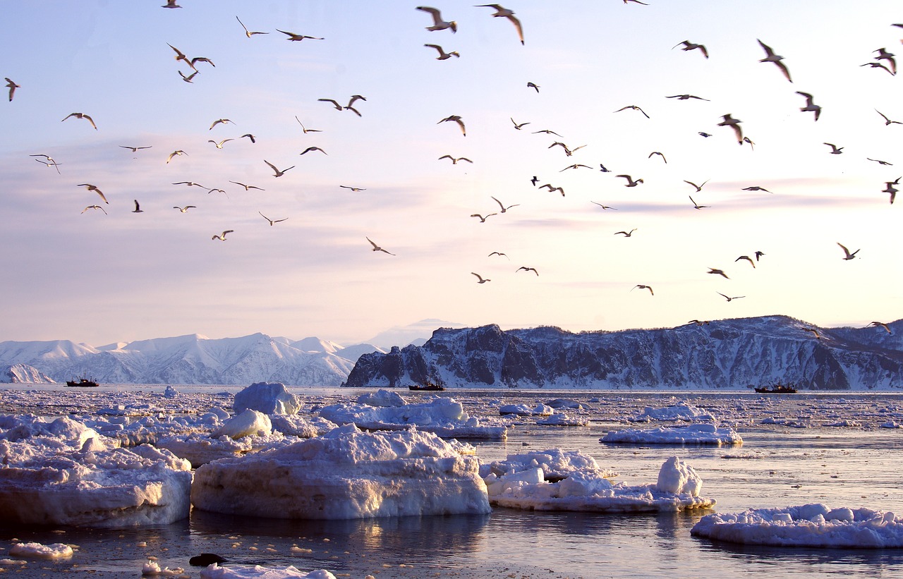 Image - bay ships ice sunset gulls