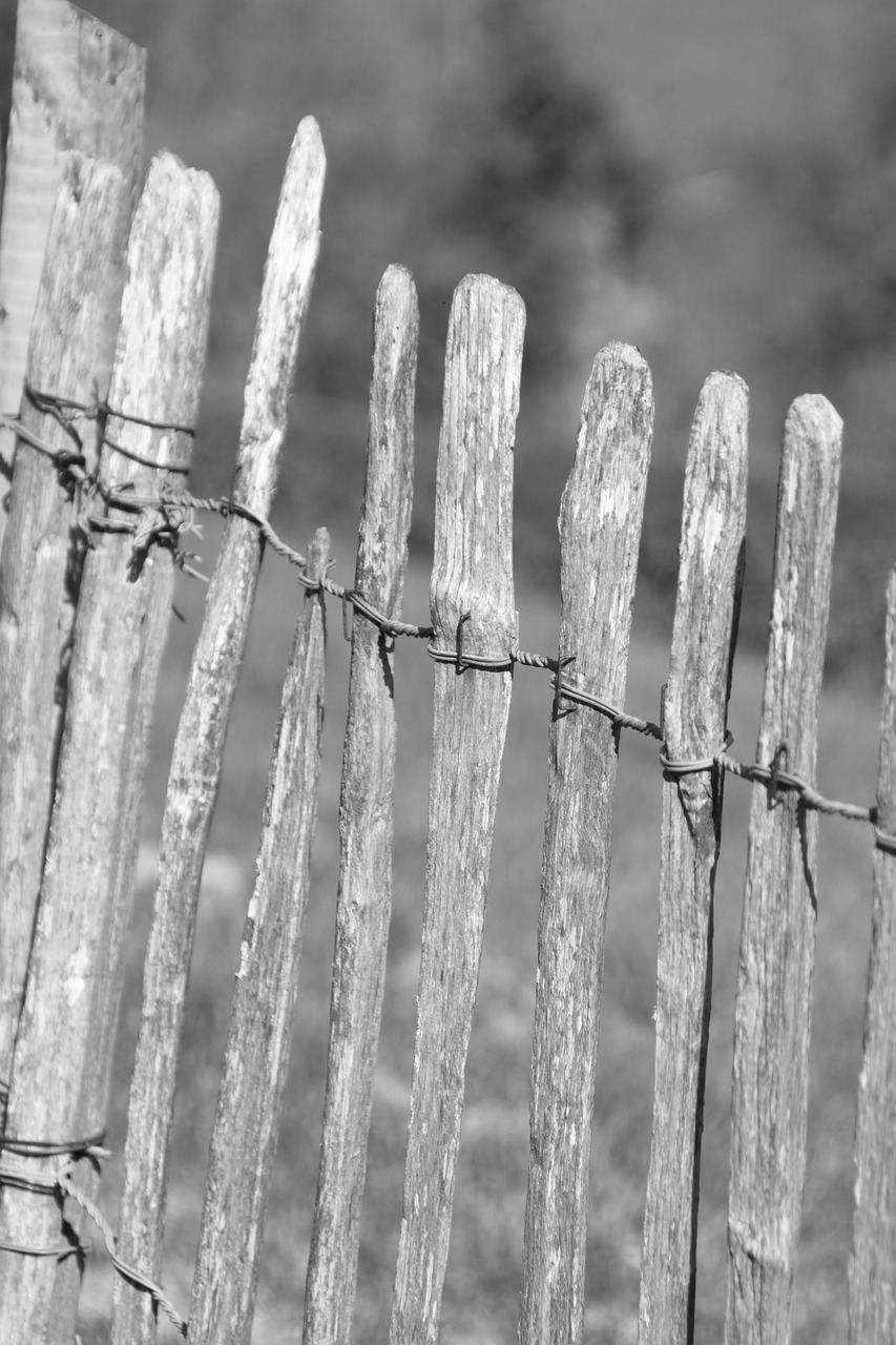 Image - black and white fence wooden gate