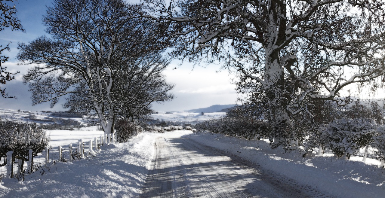 Image - snow landscape rothbury winter