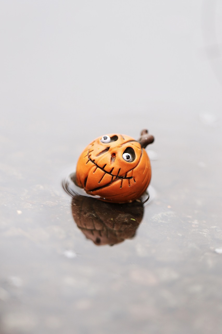 Image - figure rain nature pumkin weather