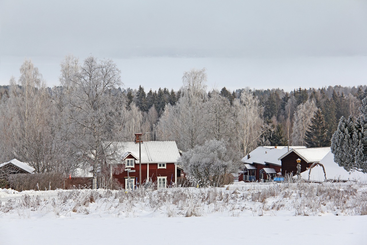 Image - all white cover snow winter cold