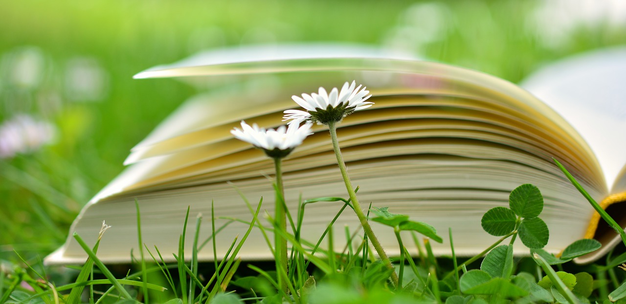 Image - book read relax meadow book pages