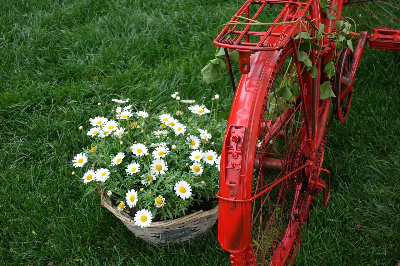 Image - red bike basket daisy decoration