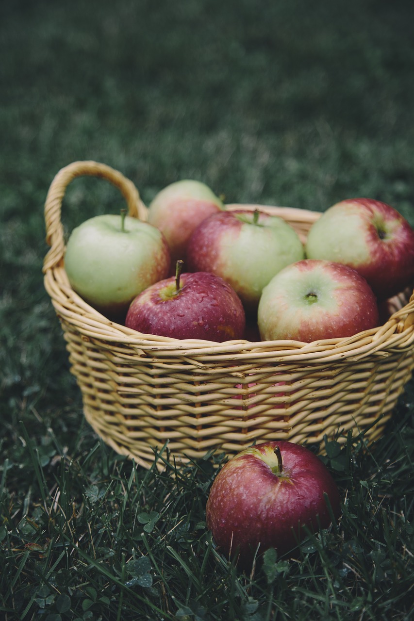 Image - apple apples basket apple picking