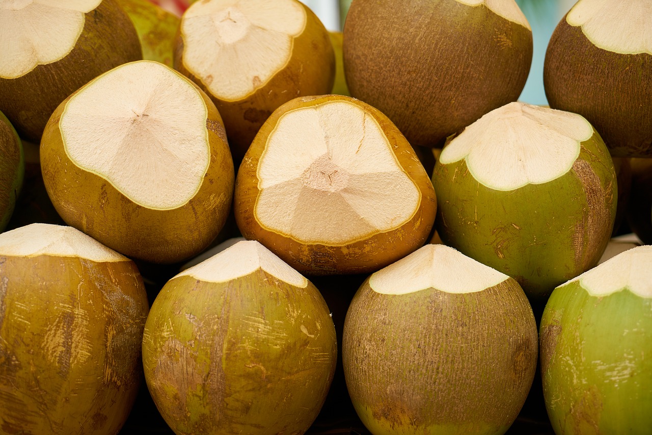 Image - india coconut fruit tropical