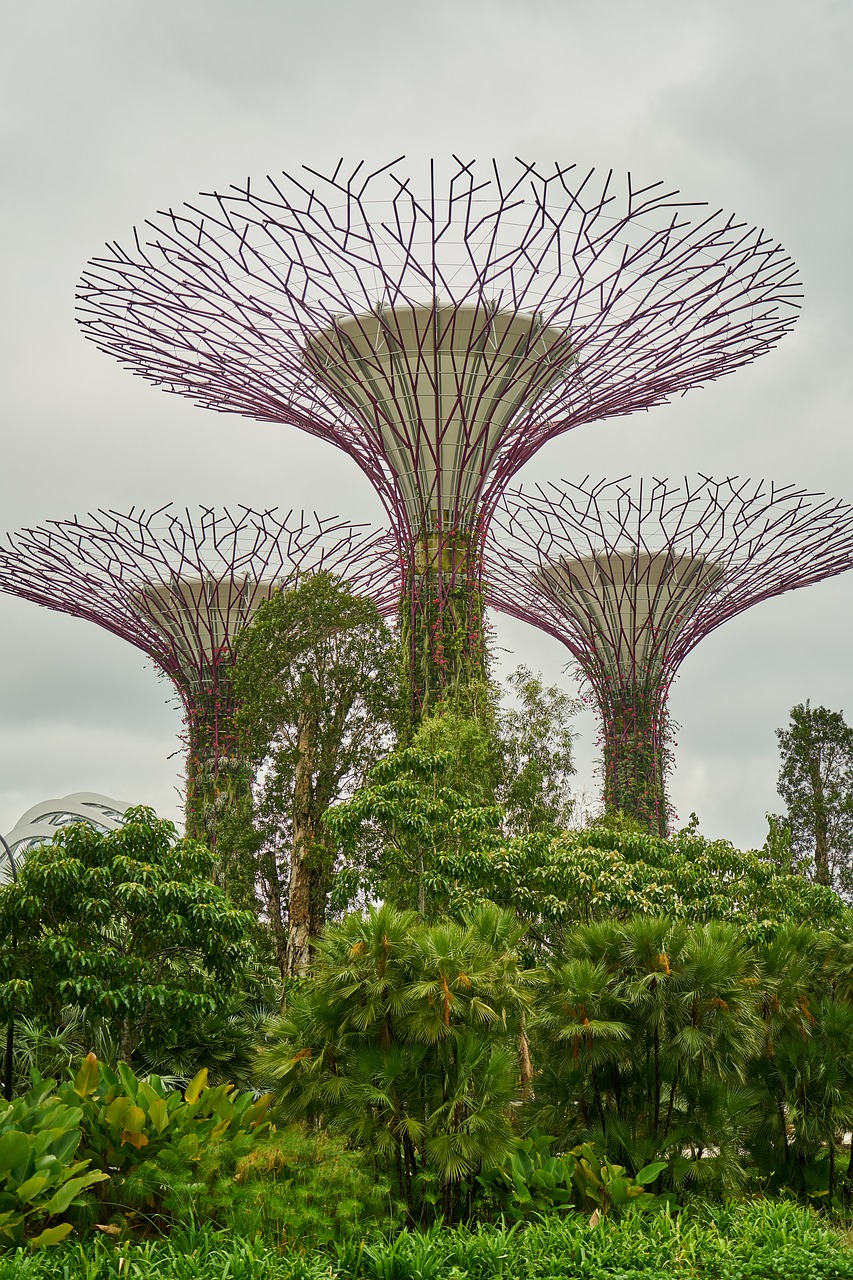 Image - plant singapore park beautiful