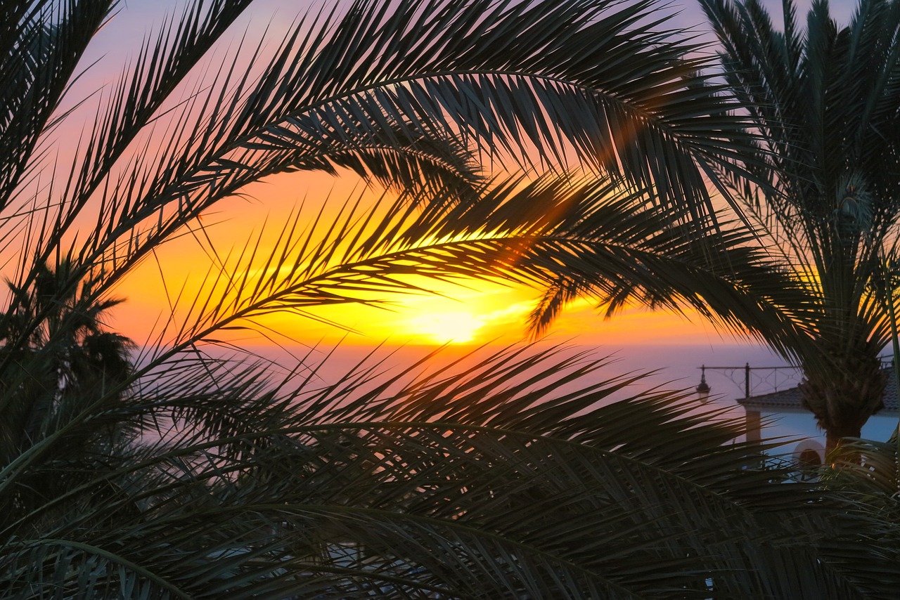 Image - palma west sea sunset evening