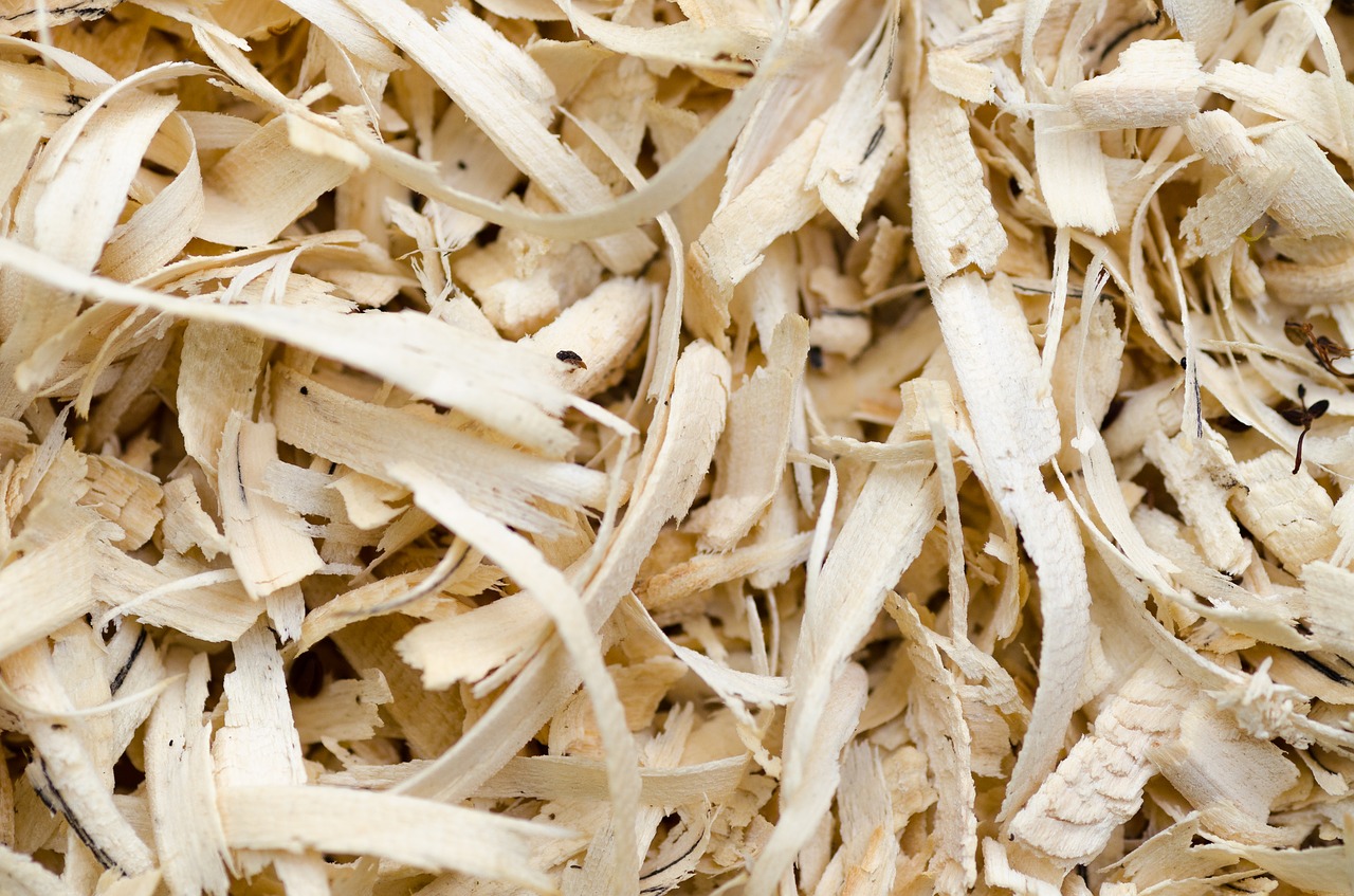Image - wood sawdust background texture
