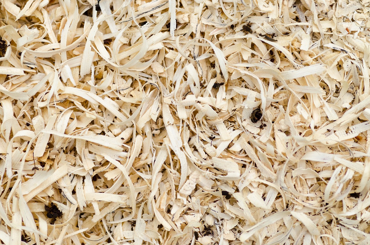 Image - wood sawdust background texture