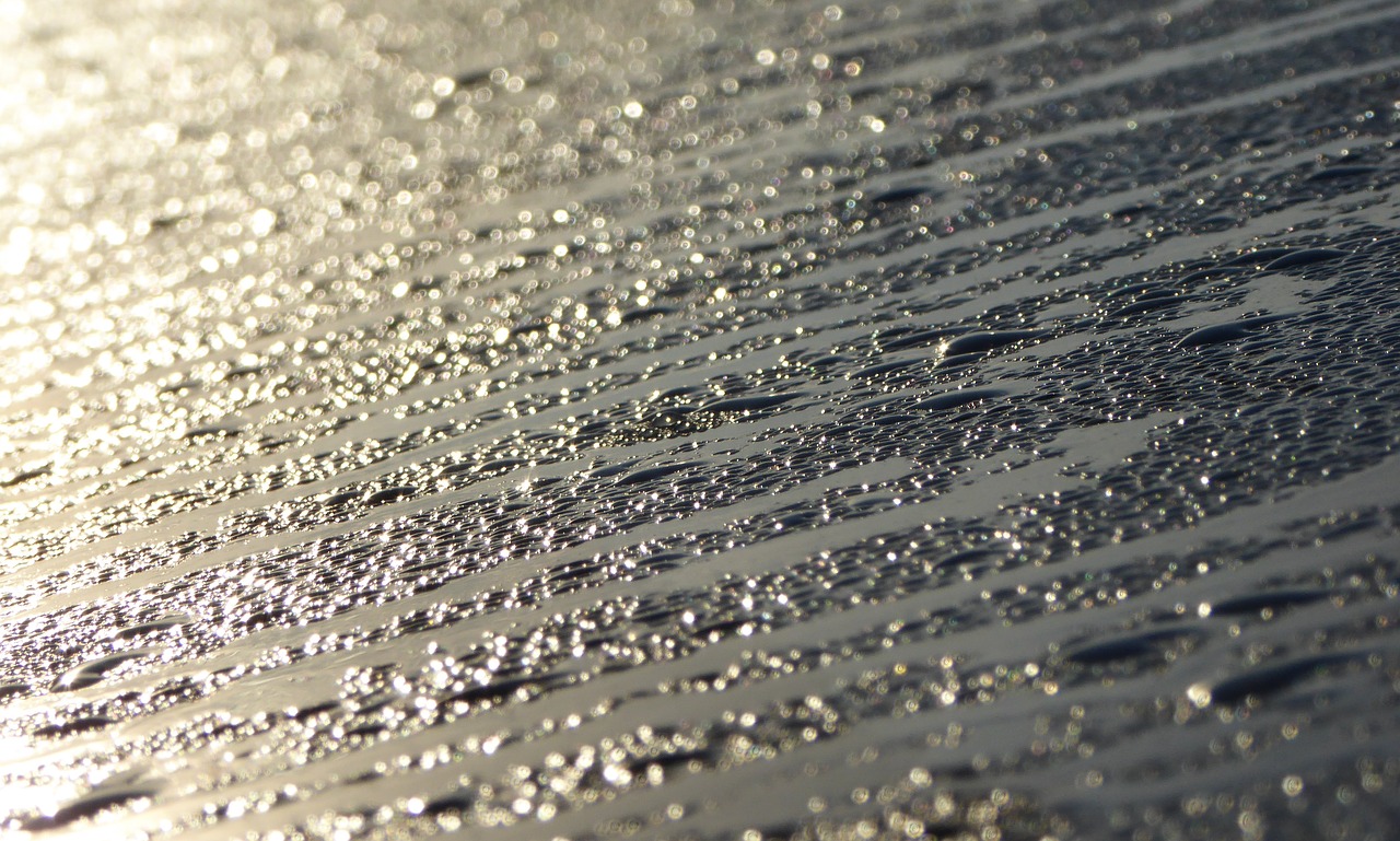 Image - humidity condensation dew wet