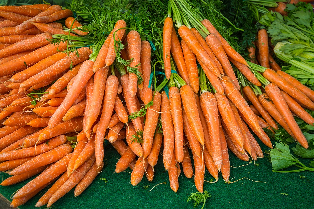 Image - carrot turnip vegetables