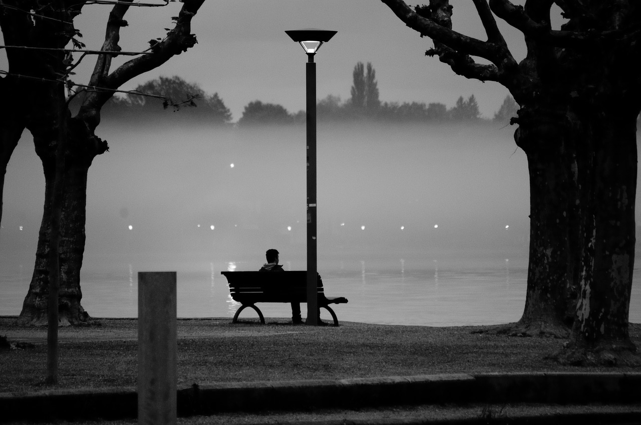 Image - evening abendstimmung fog