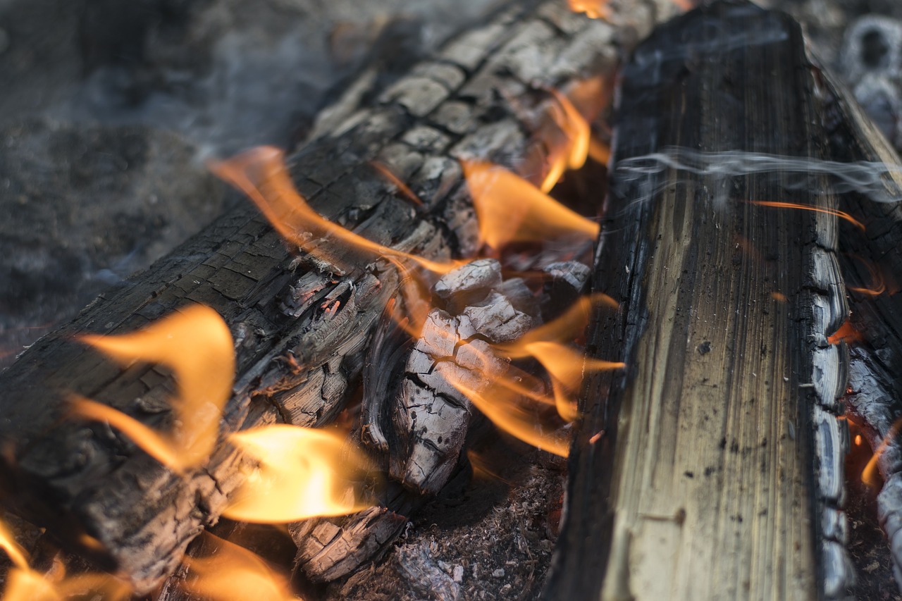 Image - campfire firewood fire wood burn