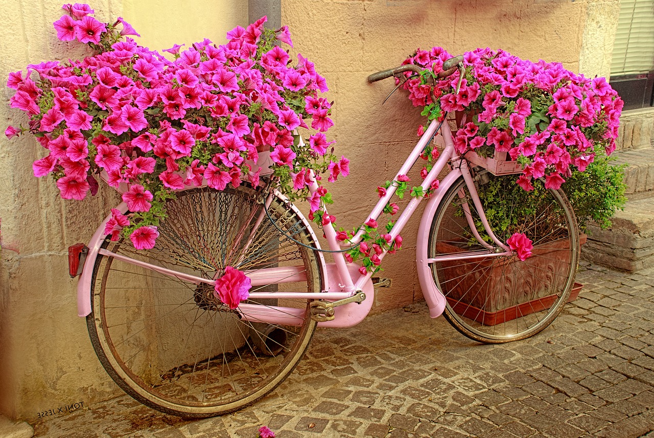 Image - bicycle flowers rosa