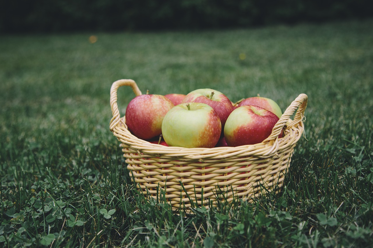 Image - apple apples apple picking basket