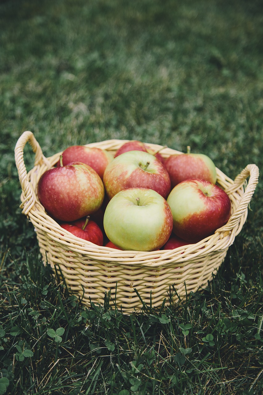 Image - apple apples apple picking basket