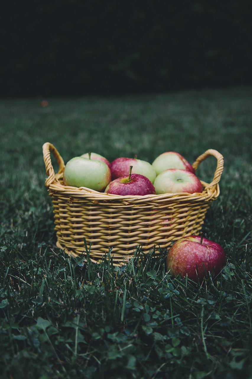 Image - apple apples apple picking basket