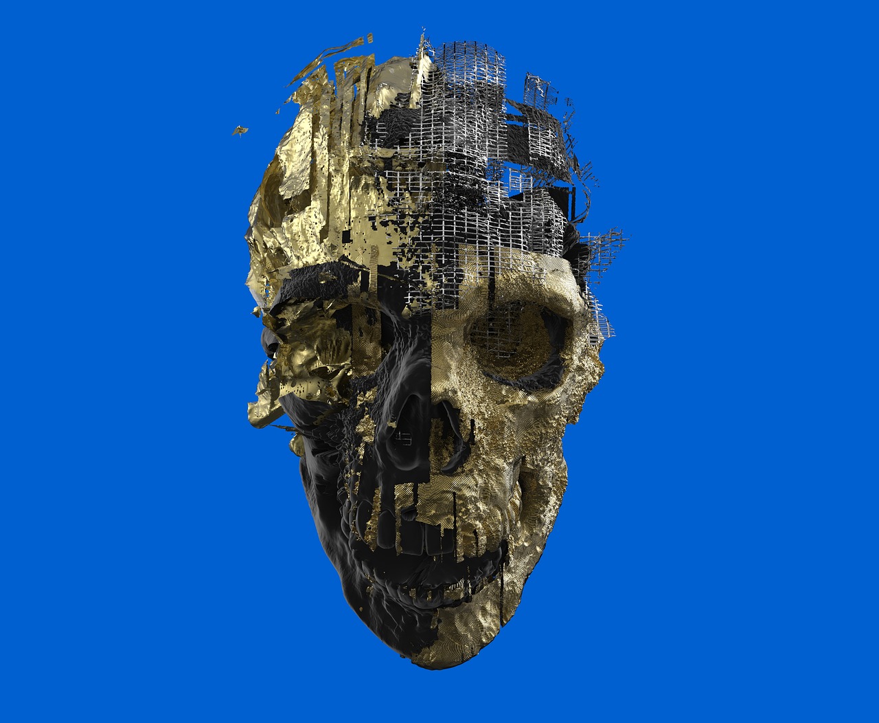 Image - skeleton skull 3d scull yamo