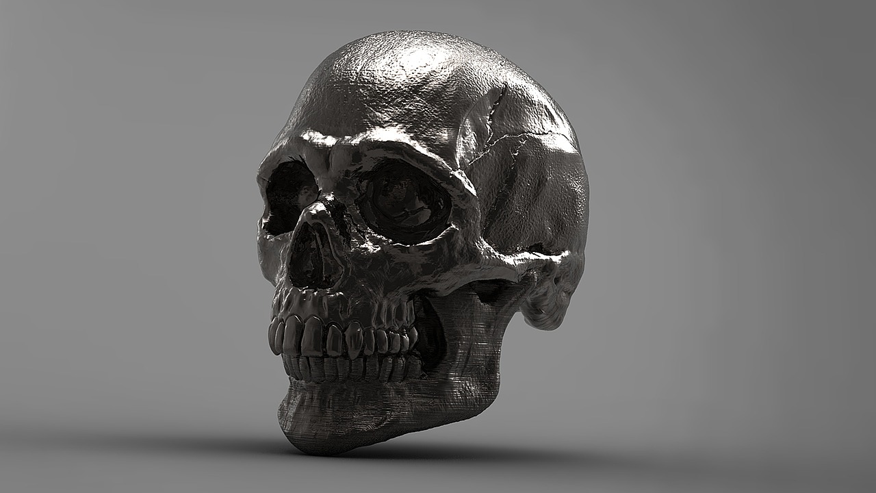 Image - silver skull 3d skeleton