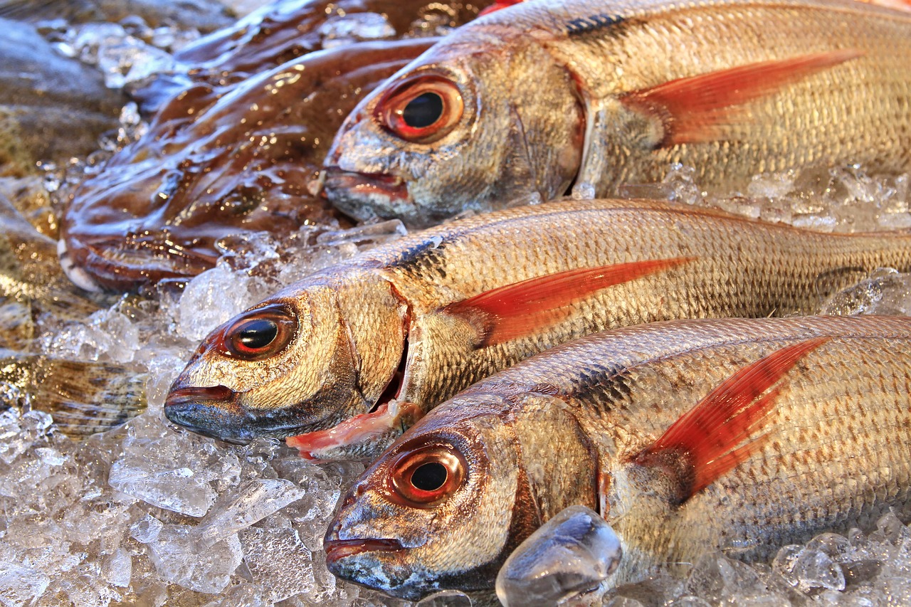 Image - bream fish fishing fish shop food